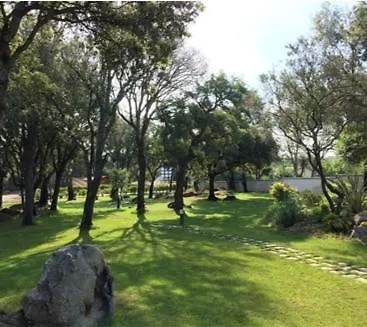 Domaine Arca T2 Neuf Standing Piscine Tennis Apartament Porto-Vecchio (Corsica)